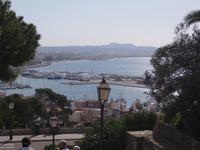 Hafen von Palma