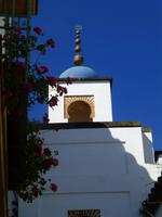 in Cordoba &ndash; &copy; Nicole Fischer (Eberhardt TRAVEL)