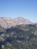 Puig Major