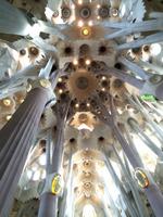 128 (2) &ndash; &copy; Ngoc Anh Nguyen (Eberhardt TRAVEL)
