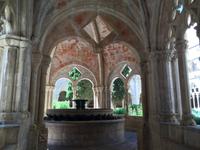 258 &ndash; &copy; Ngoc Anh Nguyen (Eberhardt TRAVEL)