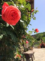 387 (2) &ndash; &copy; Ngoc Anh Nguyen (Eberhardt TRAVEL)