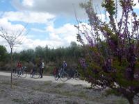Via Verde del Aceite &ndash; &copy; Nicole Fischer (Eberhardt TRAVEL)