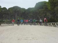Nationalpark Donana
