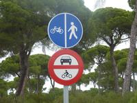 Nationalpark Donana &ndash; &copy; Nicole Fischer (Eberhardt TRAVEL)
