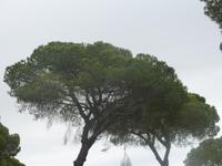 Nationalpark Donana &ndash; &copy; Nicole Fischer (Eberhardt TRAVEL)