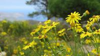 Katalonische Natur &ndash; &copy; Madlen Lippe (Eberhardt TRAVEL)