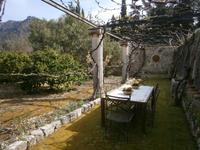 Weingut Son Puig