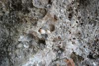Muschelkalk &ndash; &copy; Detlef May (Eberhardt TRAVEL)