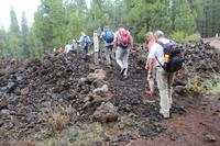 Wanderung am Chinyero – Teneriffa &ndash; &copy; Martin Jentzsch (Eberhardt TRAVEL)