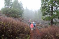 Wanderung am Chinyero – Teneriffa &ndash; &copy; Martin Jentzsch (Eberhardt TRAVEL)