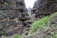 Wanderung in der Masca-Schlucht – Teneriffa &ndash; &copy; Martin Jentzsch (Eberhardt TRAVEL)