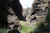 Wanderung in der Masca-Schlucht – Teneriffa &ndash; &copy; Martin Jentzsch (Eberhardt TRAVEL)