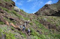 Wanderung von Afur nach Taganana – Teneriffa &ndash; &copy; Martin Jentzsch (Eberhardt TRAVEL)