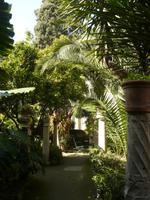 arabische Spuren in Palma