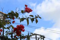 IMG_2202 &ndash; &copy; Franziska Bergmann (Eberhardt TRAVEL)