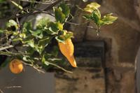 IMG_2218 &ndash; &copy; Franziska Bergmann (Eberhardt TRAVEL)