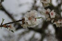 IMG_2545 &ndash; &copy; Franziska Bergmann (Eberhardt TRAVEL)