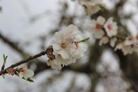 IMG_2546 &ndash; &copy; Franziska Bergmann (Eberhardt TRAVEL)