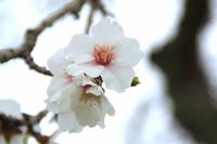 IMG_2548 &ndash; &copy; Franziska Bergmann (Eberhardt TRAVEL)
