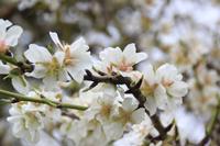 IMG_2549 &ndash; &copy; Franziska Bergmann (Eberhardt TRAVEL)