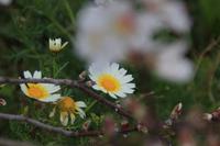 IMG_2555 &ndash; &copy; Franziska Bergmann (Eberhardt TRAVEL)