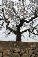 IMG_2561 &ndash; &copy; Franziska Bergmann (Eberhardt TRAVEL)
