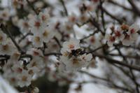 IMG_2562 &ndash; &copy; Franziska Bergmann (Eberhardt TRAVEL)