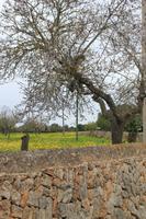 IMG_2565 &ndash; &copy; Franziska Bergmann (Eberhardt TRAVEL)