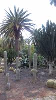 Park Santa Cruz &ndash; &copy; Rebekka Böhme (Eberhardt TRAVEL)