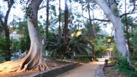 Park Santa Cruz &ndash; &copy; Rebekka Böhme (Eberhardt TRAVEL)