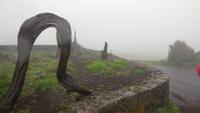 Wanderung über die Hochweiden &ndash; &copy; Rebekka Böhme (Eberhardt TRAVEL)