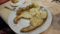 Riesenthunfisch &ndash; &copy; Rebekka Böhme (Eberhardt TRAVEL)