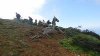 Wanderung zu den schiefen Wacholderbäumen &ndash; &copy; Rebekka Böhme (Eberhardt TRAVEL)