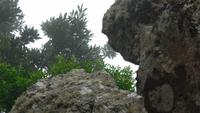 Camino de Sabinosa &ndash; &copy; Rebekka Böhme (Eberhardt TRAVEL)