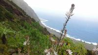 Camino de Sabinosa &ndash; &copy; Rebekka Böhme (Eberhardt TRAVEL)
