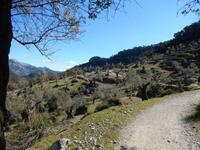 Olivenhaine &ndash; &copy; Rico Manns (Eberhardt TRAVEL)