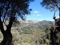 Ausblick  &ndash; &copy; Rico Manns (Eberhardt TRAVEL)