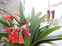 Alcudia &ndash; &copy; Rico Manns (Eberhardt TRAVEL)