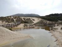 Dünenlandschaft &ndash; &copy; Rico Manns (Eberhardt TRAVEL)