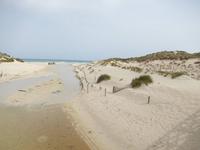 Dünenlandschaft &ndash; &copy; Rico Manns (Eberhardt TRAVEL)