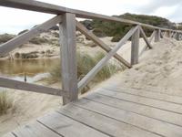 Düne nimmt die Brücke ein &ndash; &copy; Rico Manns (Eberhardt TRAVEL)