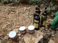 Picknick &ndash; &copy; Rico Manns (Eberhardt TRAVEL)
