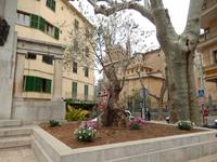 Soller &ndash; &copy; Rico Manns (Eberhardt TRAVEL)