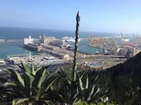 Barcelona &ndash; &copy; Francisco Javier Burgos Gutierrez (Eberhardt TRAVEL)
