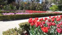 Madrid &ndash; &copy; Francisco Javier Burgos Gutierrez (Eberhardt TRAVEL)