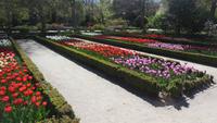 Madrid &ndash; &copy; Francisco Javier Burgos Gutierrez (Eberhardt TRAVEL)
