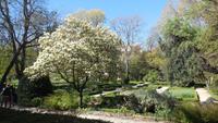 Madrid &ndash; &copy; Francisco Javier Burgos Gutierrez (Eberhardt TRAVEL)