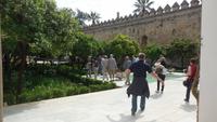 Córdoba &ndash; &copy; Francisco Javier Burgos Gutierrez (Eberhardt TRAVEL)