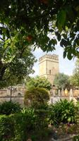 Córdoba &ndash; &copy; Francisco Javier Burgos Gutierrez (Eberhardt TRAVEL)